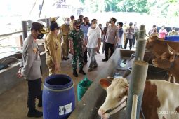 Kasus meluas, Tulungagung masuk zona kuning wabah PMK