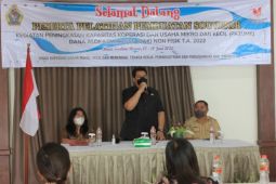 Pemkab Samosir latih pelaku UMKM pembuatan souvenir