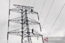 PLN tuntaskan pembayaran lahan terdampak pembangunan SUTT di Kalsel
