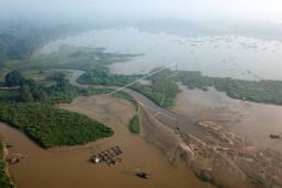 Pendangkalan Danau Teluk Kenali Jambi