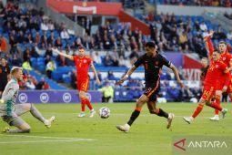 Tambah daya gedor, Manchester United lirik penyerang sayap PSV Eindhoven Cody Gakpo