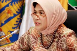 DPD RI tegaskan Pemprov agar perhatikan fasilitas bidan di Maluku