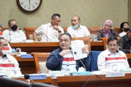 BP2MI dan Komisi IX DPR sepakat mantapkan pelindungan PMI