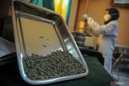 Pemprov Jabar kirim kopi terbaik ke pameran kopi dunia di Italia