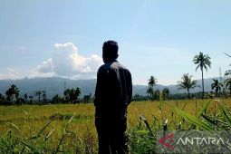 Irigasi Paya Sordang tak kunjung diperbaiki, petani Tapsel khawatir gagal tanam kedua