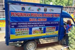 Tingkatkan potensi daerah, Pemkot Metro jalin kerja sama dengan DKI Jakarta