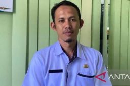Luas tanaman baru sawit rakyat di Bangka capai 1.789 hektare