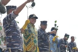 Lantamal I Belawan-Pemkab Sergai tanam ribuan mangrove