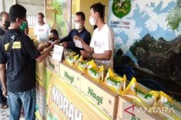 BULOG Sumut pastikan stok minyak goreng di tengah harga naik lagi