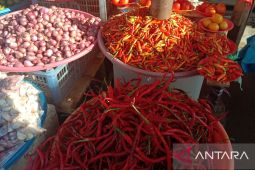 Harga cabai merah & tomat di Ambon melonjak naik akibat cuaca, begini penjelasannya