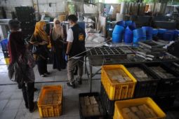 Pabrik tahu berformalin di Bogor