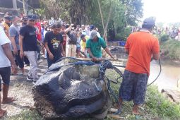 Pemkab Kediri gunakan alat berat pindahkan Arca Pentul dari sungai