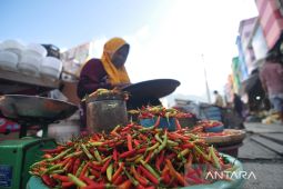 Stok cabai di Bengkulu aman meskipun harga tinggi