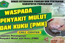 Pemkab Pamekasan sebar nomor telepon dokter hewan untuk percepat layanan PMK