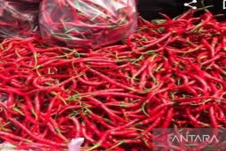 Harga cabai merah di Sumut  tembus Rp100.000 per kg