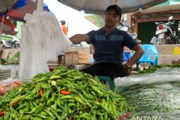 Harga cabai rawit di Metro melonjak