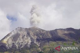 Aktivitas vulkanik gunung Ile Lewotolok meningkat, warga diminta waspada longsor dari puncak
