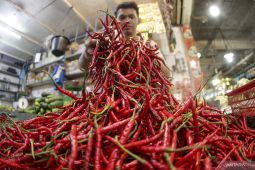 Cabai merah di Tebing Tinggi semakin "pedas"