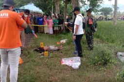 Polisi kantongi identitas pelaku pembunuhan sopir truk di jalur pantura Situbondo