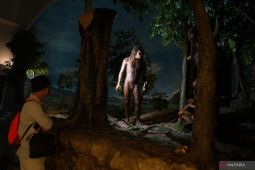 Artikel - Melestarikan tanpa merusak jejak peradaban di Sangiran