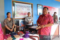 Bupati Buleleng dorong investasi berkelanjutan untuk daerah