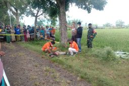 Mayat sopir truk ditemukan di jalur pantura Situbondo diduga korban perampokan