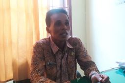 Enam ekor sapi di nyatakan sembuh dari PMK