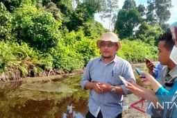 PTPN VI miliki kawasan konservasi lahan gambut di Tanjabtim
