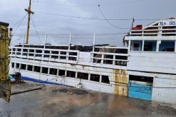 214 sapi kurban dari NTB tiba di Kabupaten Belitung