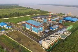 Uji coba biomassa cangkang sawit pada PLTU capai 100 persen