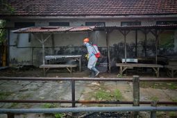 Penyemprotan disinfektan di pasar hewan