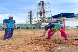 Peringati Hari Lingkungan Hidup Sedunia, PLN tanam bibit pohon produktif