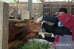 Pemkab Pamekasan beri tugas khusus tujuh dokter hewan tangani PMK