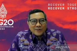 Pertemuan negara G20 di Bali  sepakat percepat transisi energi
