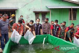 Pemerintah Kabupaten Landak dorong masyarakat kembangkan budidaya  perikanan