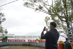 PLN tanam 10.000 pohon mangrove cegah abrasi di Pantai Telok Berdiri