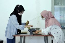 Inovasi olahan sayur amenjadi mi