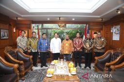 Papua: Home Minister, Governor agree on regional division