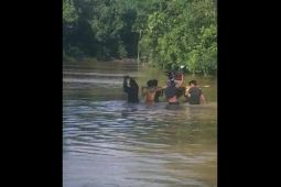 Banjir di Kapuas Hulu rendam jalan menuju perbatasan RI-Malaysia