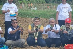 Pemkab Pamekasan berencana susun kawasan khusus industri tembakau