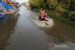Banjir rob di Indramayu