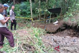 15 menit tertimbun di lubang tambang emas, nyawa Kancil tak tertolong