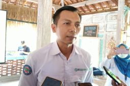 BPJS Kesehatan optimalkan kepesertaan pekerja sektor informal