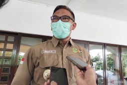 13 sapi perah mati karena PMK di Kabupaten Bogor