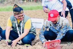 Pemkab Pamekasan teken petisi perlindungan tembakau Madura