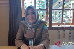DP2KBP3A kembangkan inovasi industri rumahan berbasis gender
