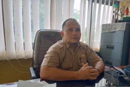 Petani lada di Belitung masuki musim panen