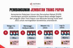 Pembangunan jembatan Trans Papua