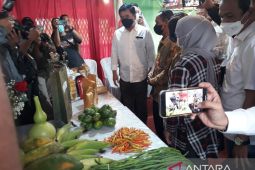 Menteri ATR/BPN Hadi Tjahjanto bentuk satgas selesaikan sengketa tanah di Kediri