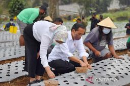 Untuk wujudkan "food estate", inilah empat pilar pendukungnya versi Guru Besar IPB